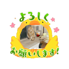 [LINEスタンプ] ぷぷとトト