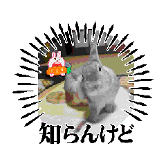 [LINEスタンプ] じょにー男のお陰様。その1