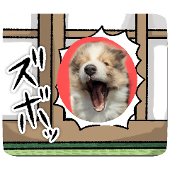 [LINEスタンプ] びすこってぃ⑳