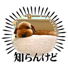 [LINEスタンプ] いつものトッティ