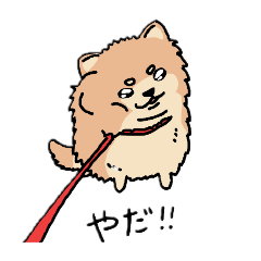 [LINEスタンプ] ポメのゴロさん1