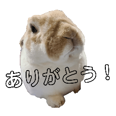 [LINEスタンプ] うさぎのなーたん