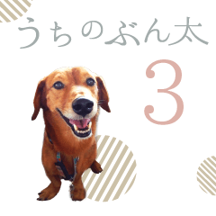 [LINEスタンプ] うちの ぶん太 3