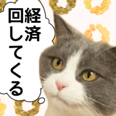 [LINEスタンプ] 親子の連絡に使える☆もふもふ猫スタンプ8