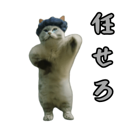 [LINEスタンプ] 動く！踊る猫ミーム！(パート5)