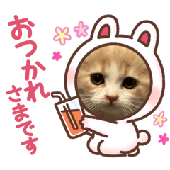 [LINEスタンプ] すいかわ