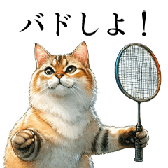 [LINEスタンプ] バド好き猫達のバドミントン