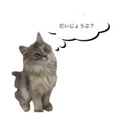 [LINEスタンプ] いやしのにゃんこⅡ