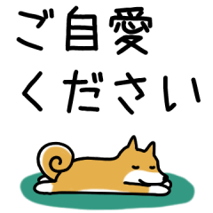 [LINEスタンプ] 柴犬さんの日本語会話の画像（メイン）