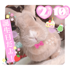 [LINEスタンプ] うさぎのハル♡いつまでも一緒