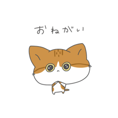 [LINEスタンプ] ねこの日常(きなこ)