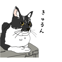 [LINEスタンプ] 黒丸のすたんぷ