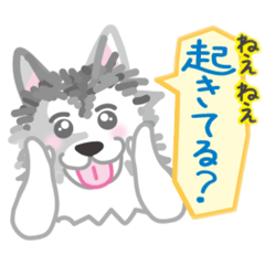 [LINEスタンプ] ぎんちゃんスタンプ34