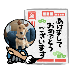 [LINEスタンプ] 犬と猫。のスタンプ