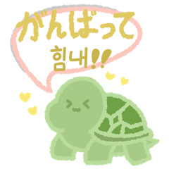 [LINEスタンプ] 可愛い小さなカメ