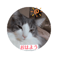 [LINEスタンプ] 可愛いルーシーの朝から夜まで