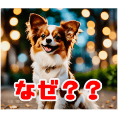 [LINEスタンプ] "ワンダフルワンズ: ほのぼの犬生活"