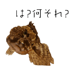 [LINEスタンプ] カサゴスタンプ(セリフ付)