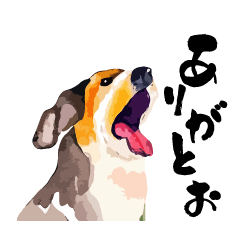 [LINEスタンプ] フランクな会話！面白い顔の犬