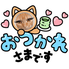 [LINEスタンプ] まつ毛ぱっちりはなちゃん✿