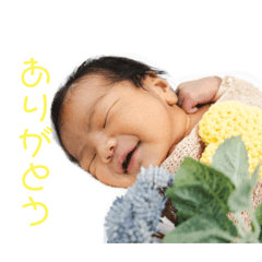 [LINEスタンプ] おたからすたんぷ3