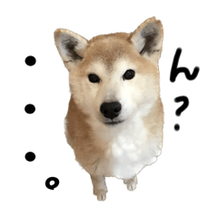 [LINEスタンプ] あじことじん