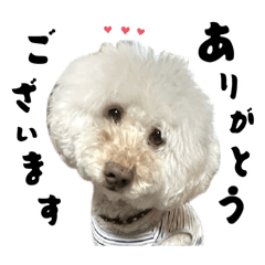 [LINEスタンプ] 僕の名前はふくくん！毎日使ってね！