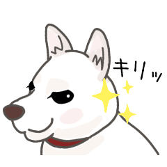 [LINEスタンプ] 直ちゃんすたんぷ