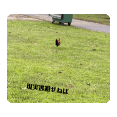 [LINEスタンプ] 困る動物の画像（メイン）