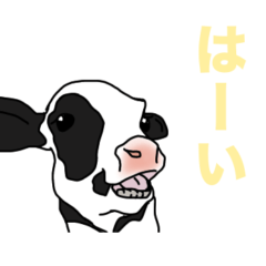 [LINEスタンプ] うしさん 日常で使えるタイプ