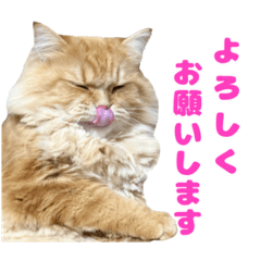 [LINEスタンプ] レオ君のペロッとスタンプ