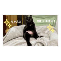 [LINEスタンプ] おぱんつやまと。の画像（メイン）