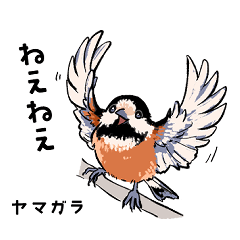 [LINEスタンプ] 野鳥スタンプ  byかろちゃん