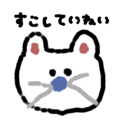 [LINEスタンプ] 【すこし丁寧】しろいねこ、あおいはな