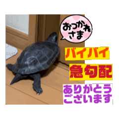 [LINEスタンプ] 動く動物スタンプ 仕事用