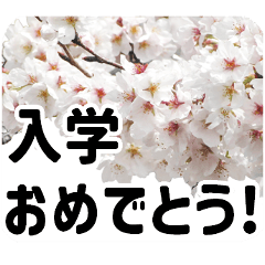 [LINEスタンプ] *花*桜 2