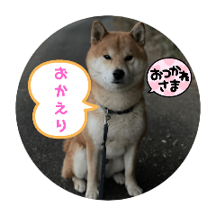 [LINEスタンプ] 仲良猫犬