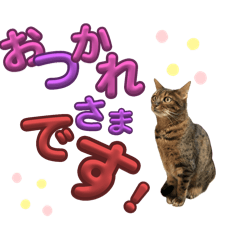 [LINEスタンプ] ルナルナスタンプ②