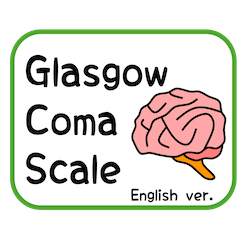 [LINEスタンプ] GCS (Glasgow Coma Scale) 英語版