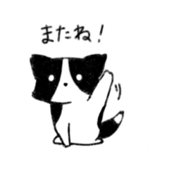 [LINEスタンプ] ゆるいボーダーコリーのスタンプ（日常）