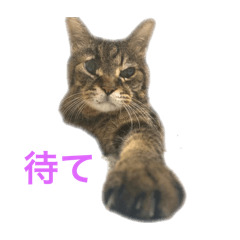 [LINEスタンプ] るんるんるーーーん