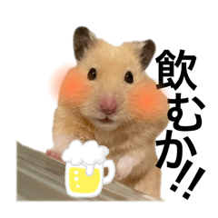 [LINEスタンプ] ハムちゃんはかわいい。