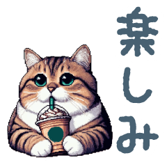 [LINEスタンプ] ぽっちゃり猫【日常会話・かわいい・猫】