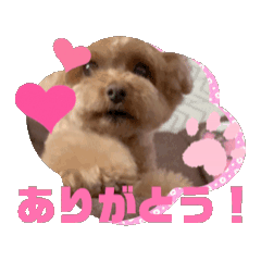 [LINEスタンプ] どうも、陽芽ちゃんです