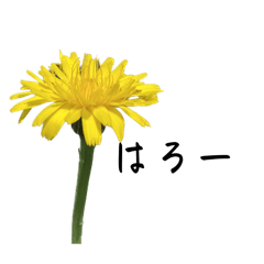 [LINEスタンプ] お花のおはなし