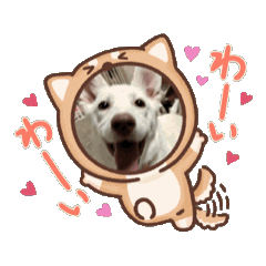 [LINEスタンプ] 元野犬つくしのスタンプ