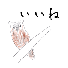 [LINEスタンプ] 手描き野鳥スタンプ