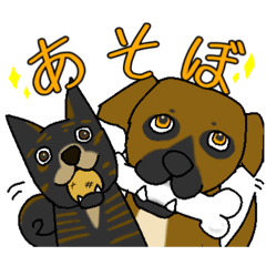 [LINEスタンプ] じっかーず