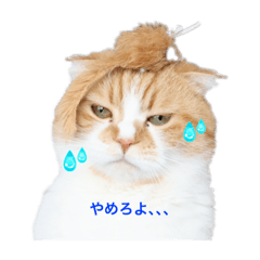 [LINEスタンプ] すこてぃっっっしゅ ver2