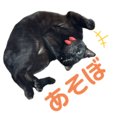 [LINEスタンプ] ハチワレと黒猫③